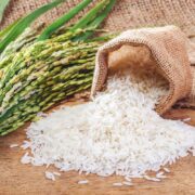 Rice Crop
