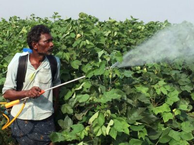 Spraying Pesticides