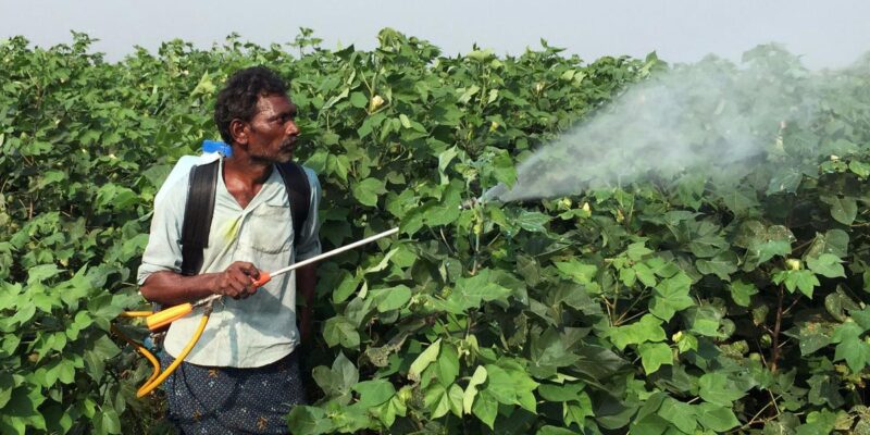 Spraying Pesticides