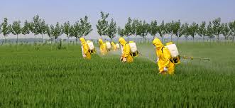 Spraying Chemicals