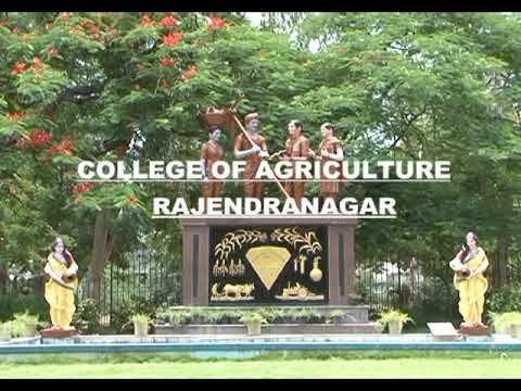 Rajendranagar Agricultural University