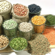 Seeds In Agriculture