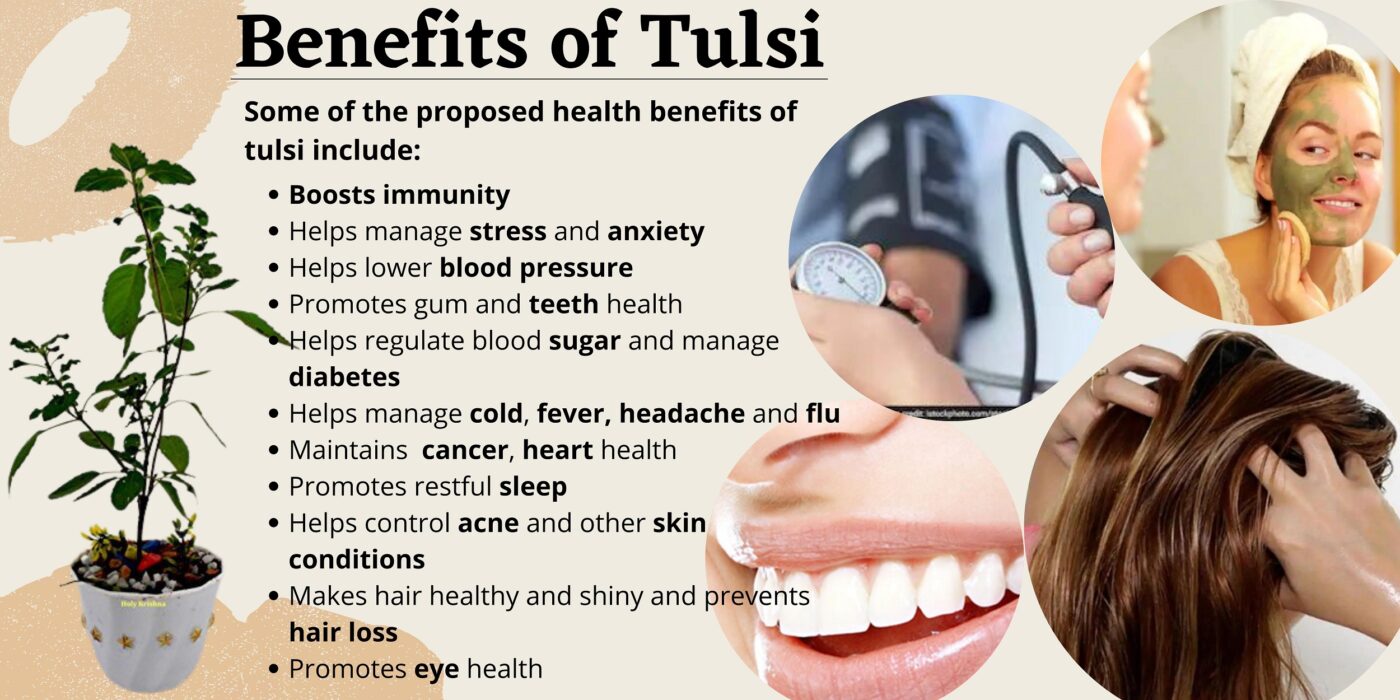 Tulsi Health Benefits