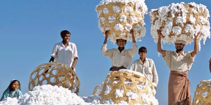 Cotton Workers