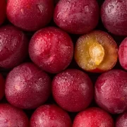 Albakara Fruit