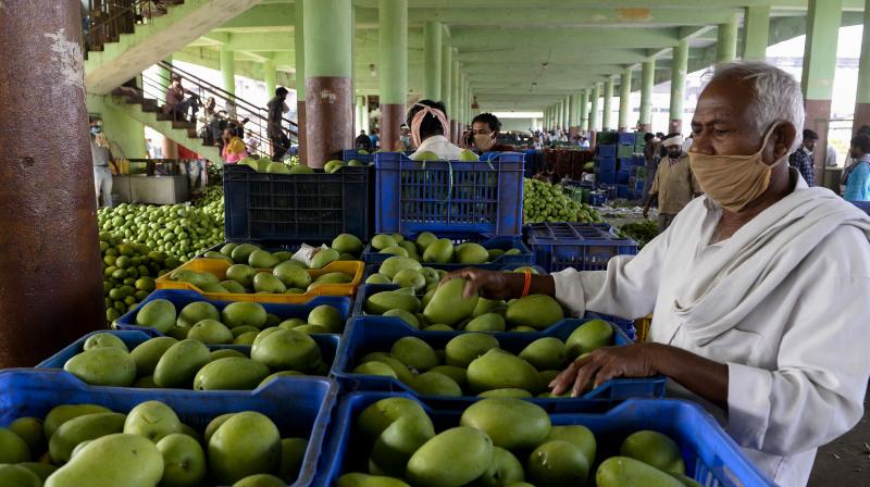 Koheda Mango Market