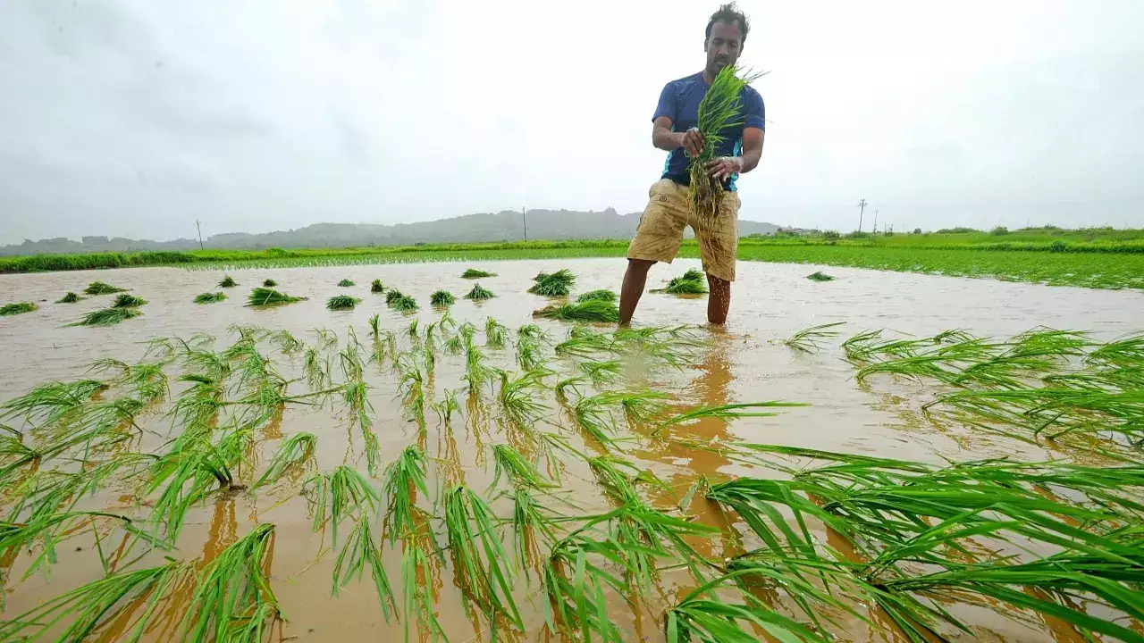 Natural Farming