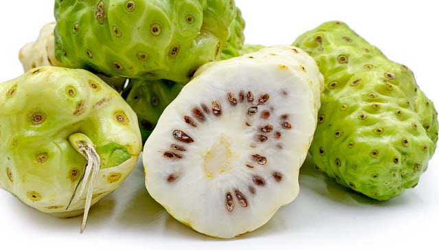 Noni Fruit 