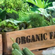 Organic Framing