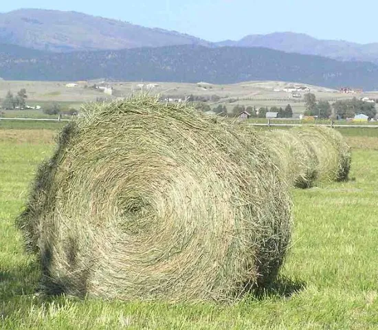 Storage of Fodder