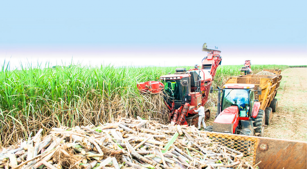 Sugarcane Machine