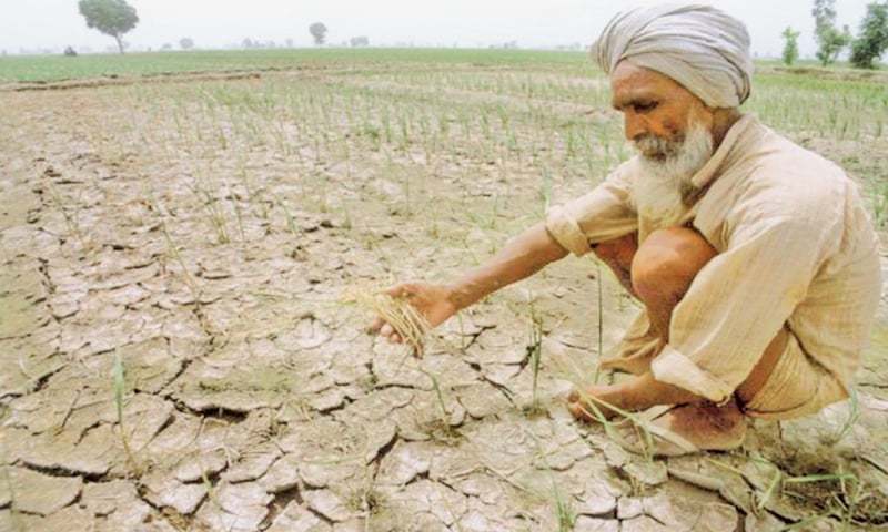 Farmer in Dryland Agriculture