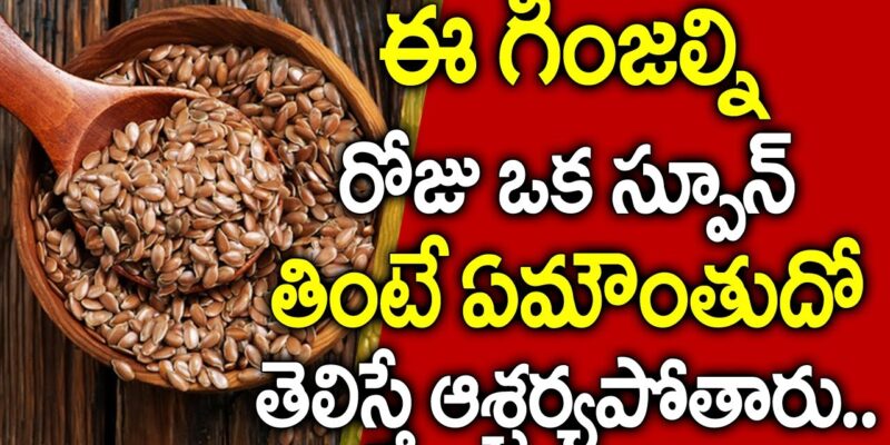 Flax Seeds Health Benefits