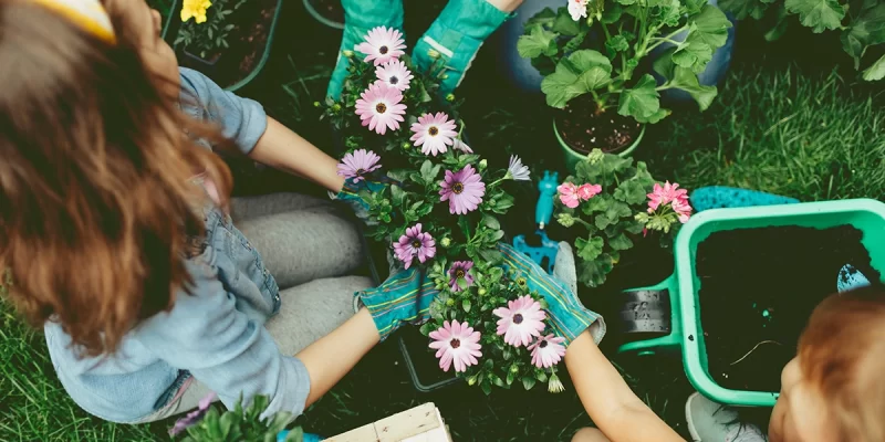 Flowers Gardening