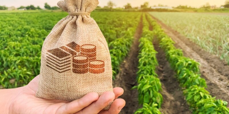 High Income for Farmers