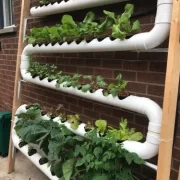 Hydrophonics System