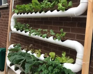 Hydrophonics System