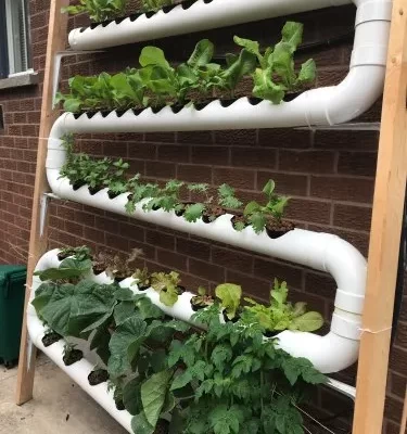 Hydrophonics System