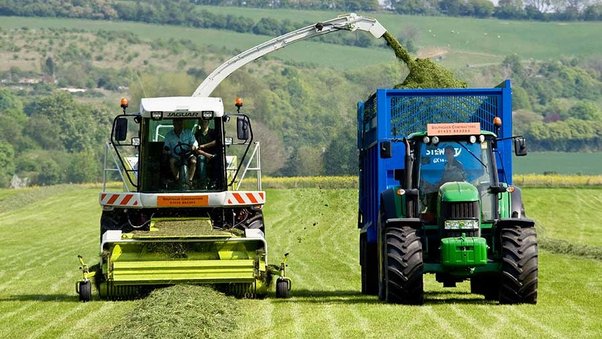 Silage the Grass