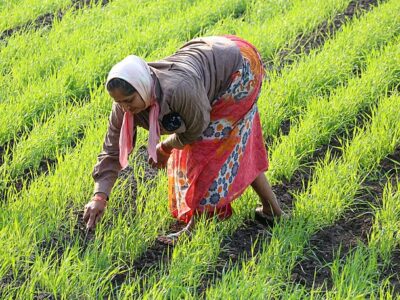 Woman Farmer Success Story