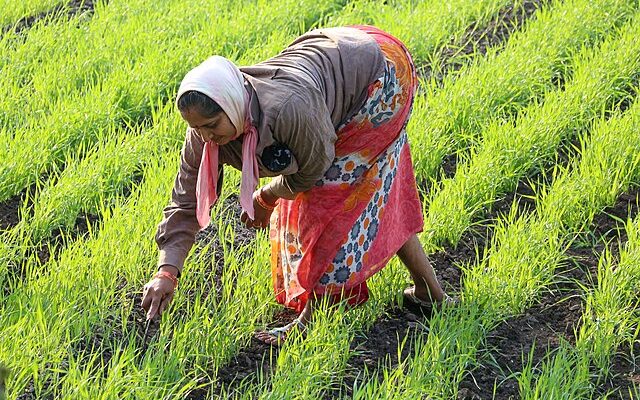 Woman Farmer Success Story