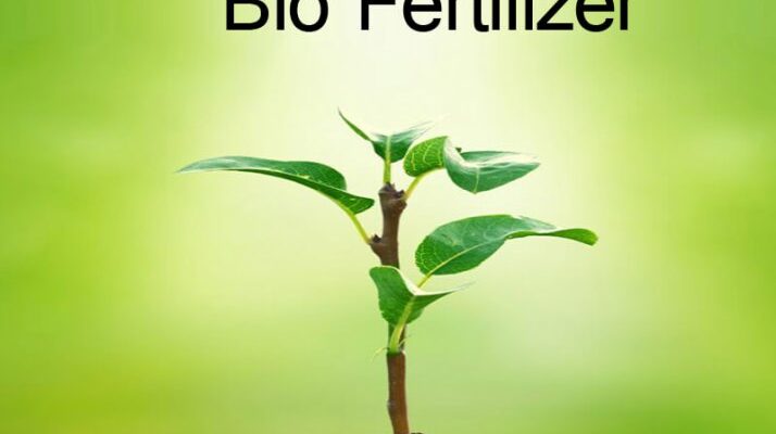 Bio Fertilizers Uses