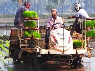 Paddy plantation method with machines