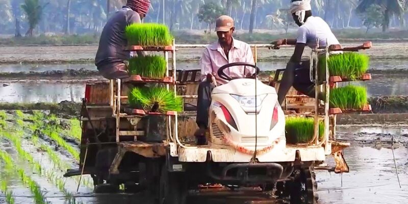 Paddy plantation method with machines