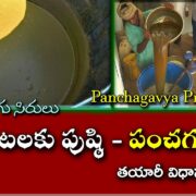 Panchagavya Uses