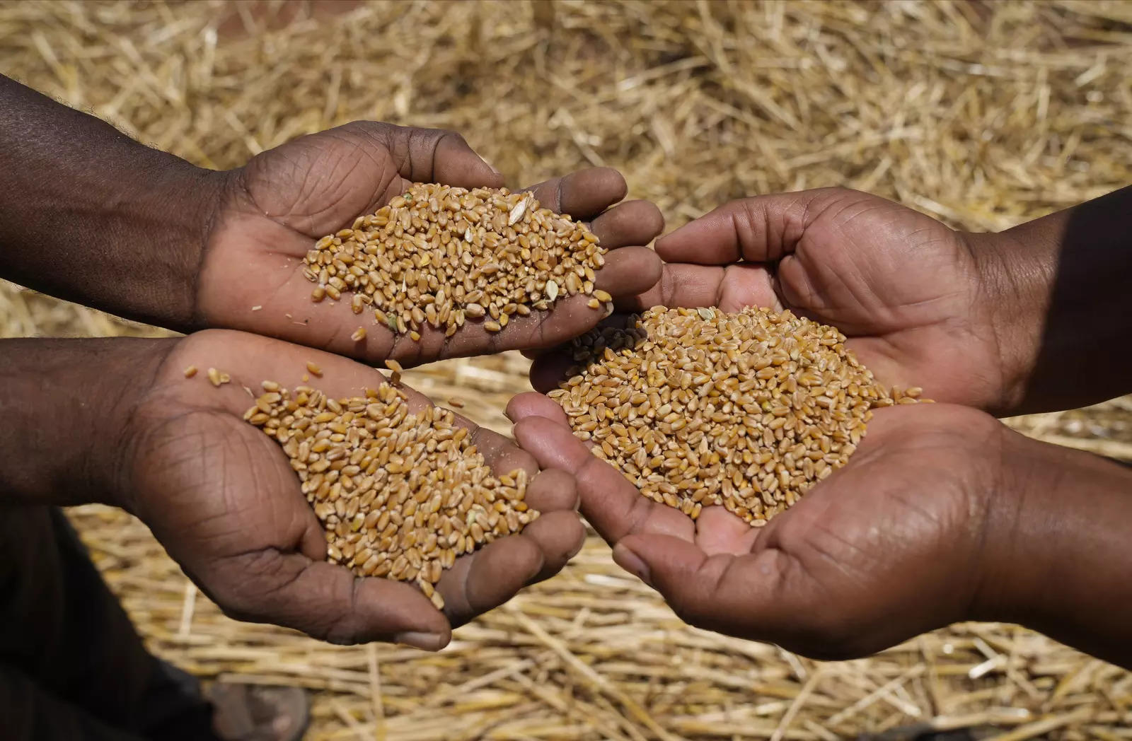 Wheat Cultivation in Alluri District