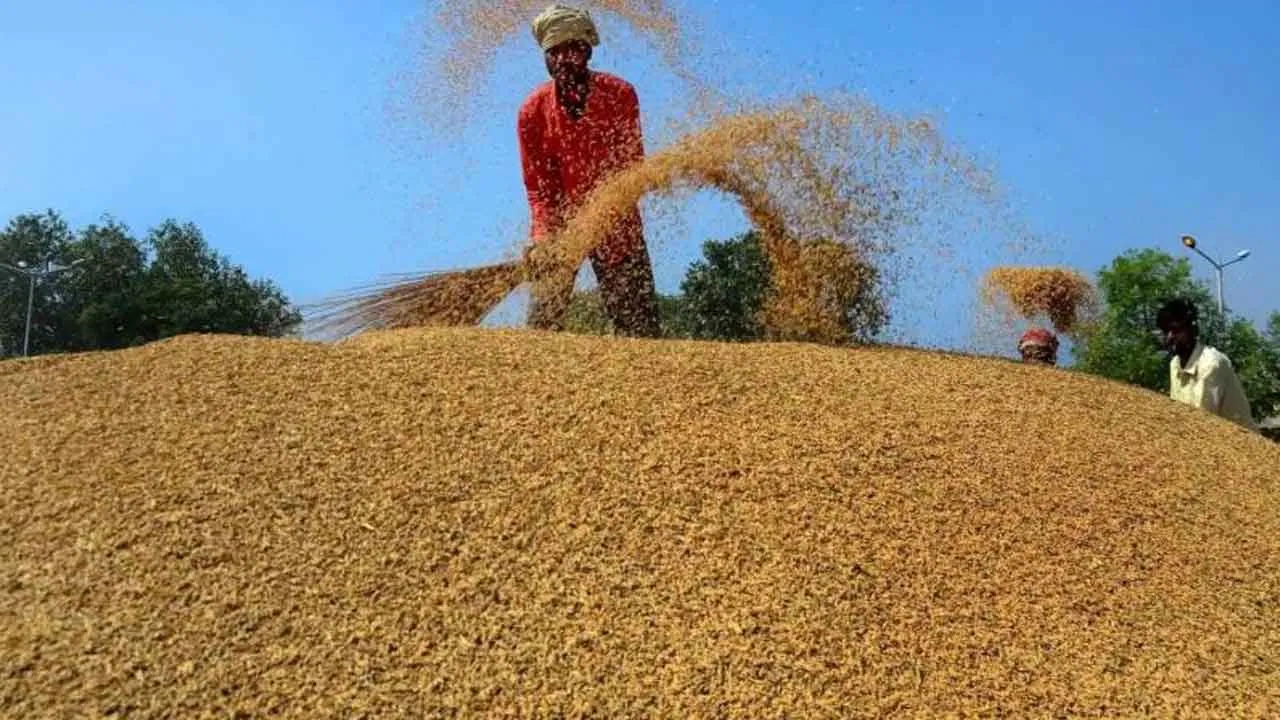 Rice Under Threat