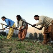 Women in Agriculture