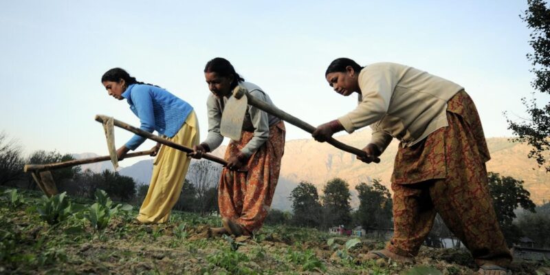 Women in Agriculture