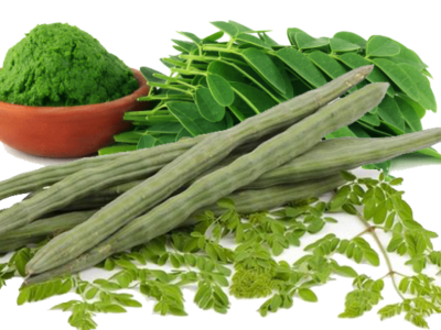 Moringa Powder