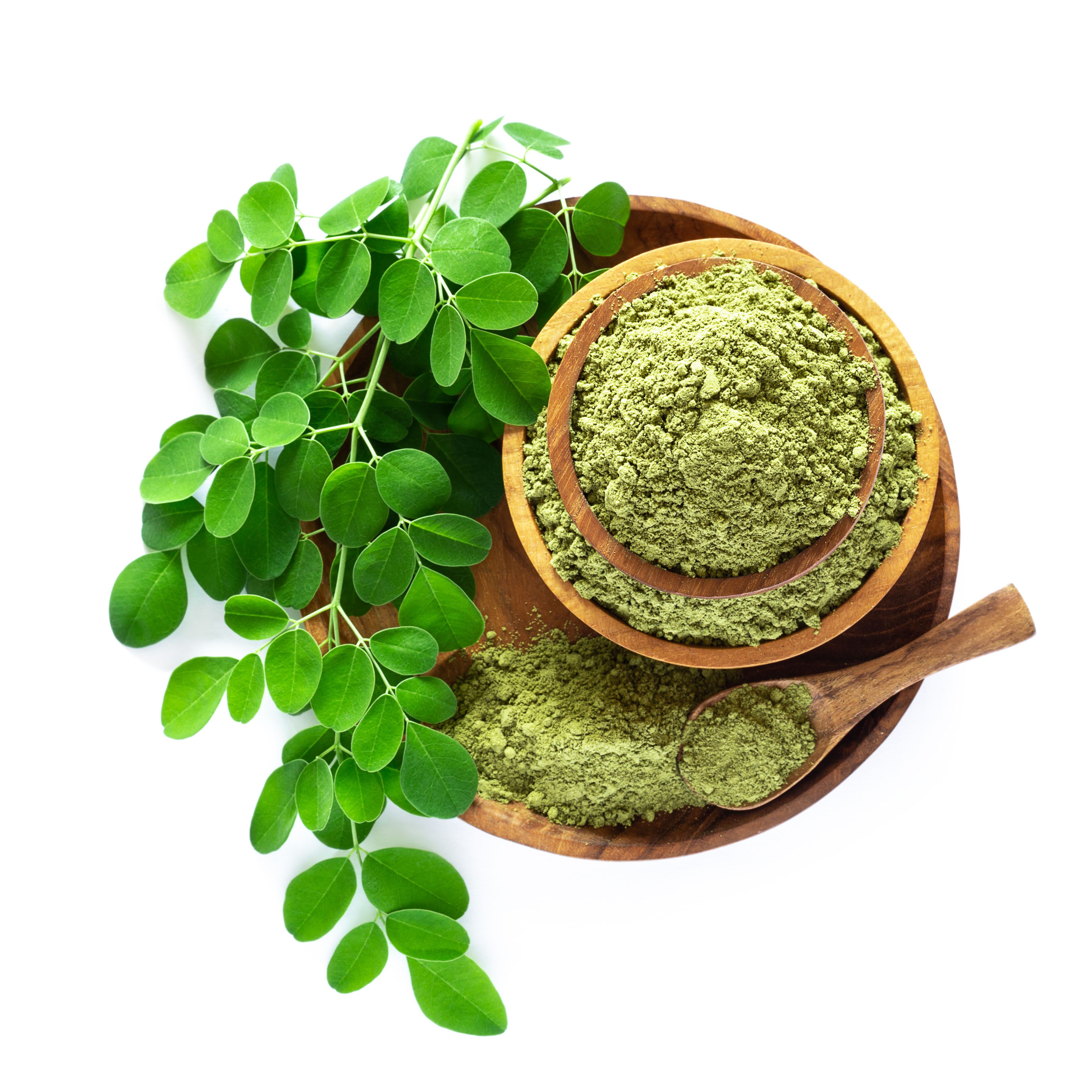 Moringa Powder Health Benefits