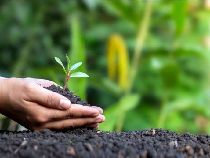 Natural Farming