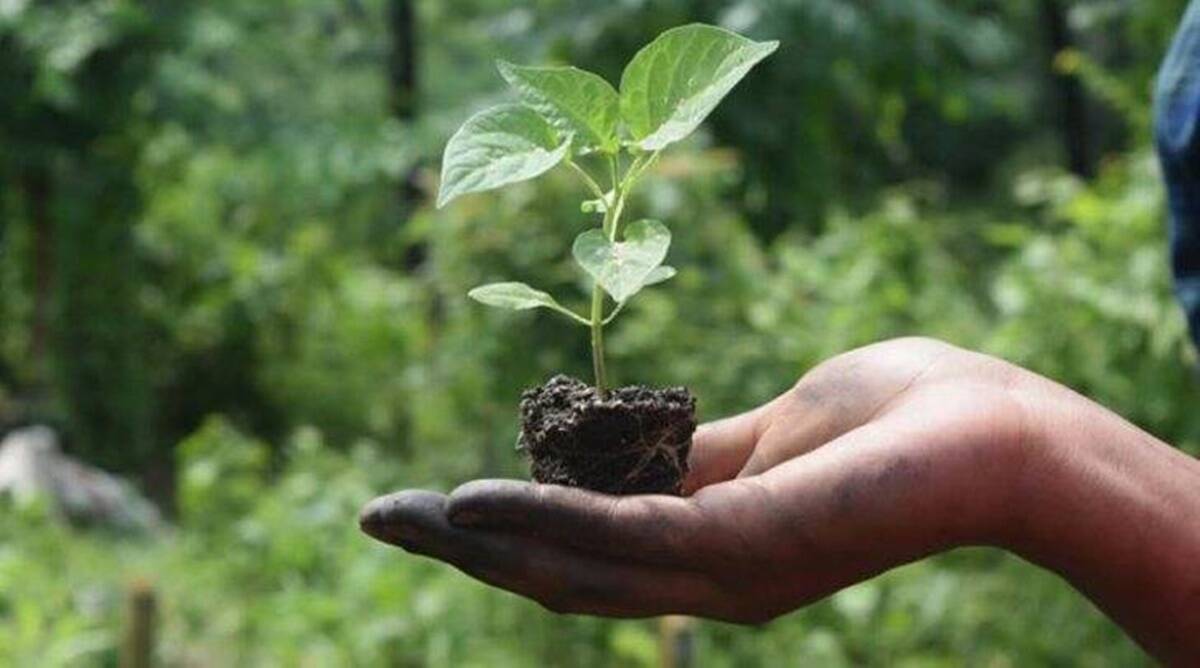 Natural Farming for Soil Conservation