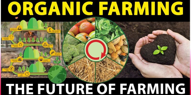 Organic Farming - The Future of Farming