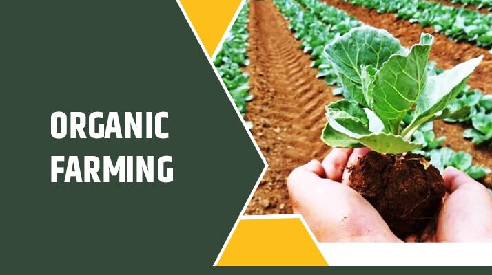 What is Organic Farming