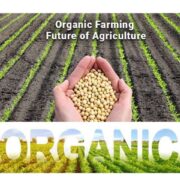 Organic Farming