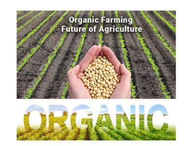 Organic Farming