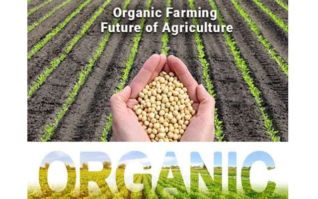 Organic Farming