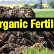 Organic Fertilizer – Packing Precautions