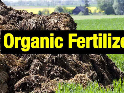 Organic Fertilizer – Packing Precautions