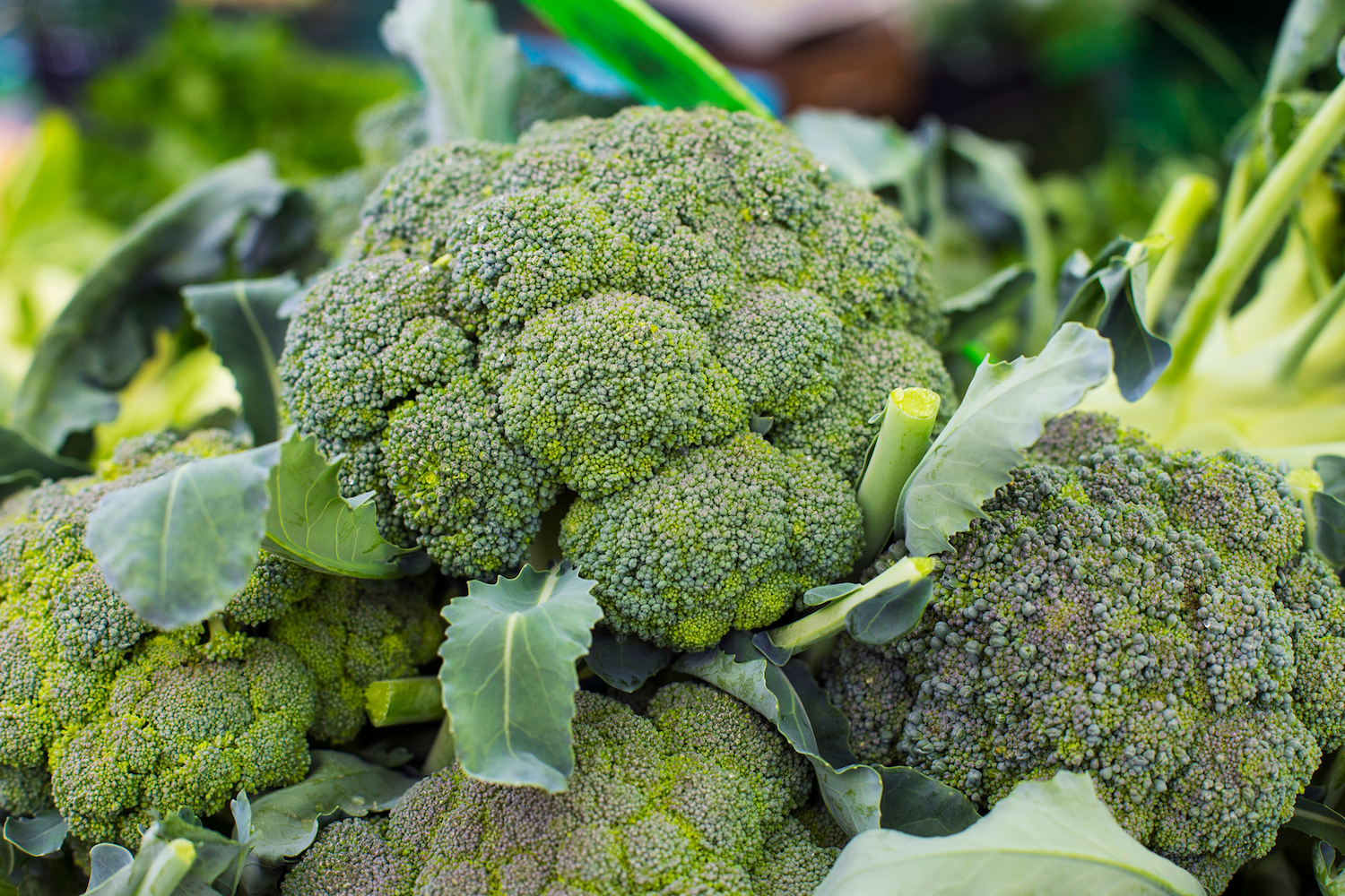 Broccoli Health Benefits