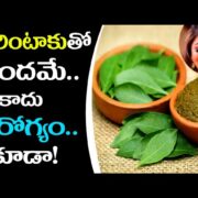 Henna (Gorintaku)Health Benefits