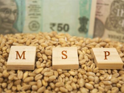 Minimum Support Price (MSP)