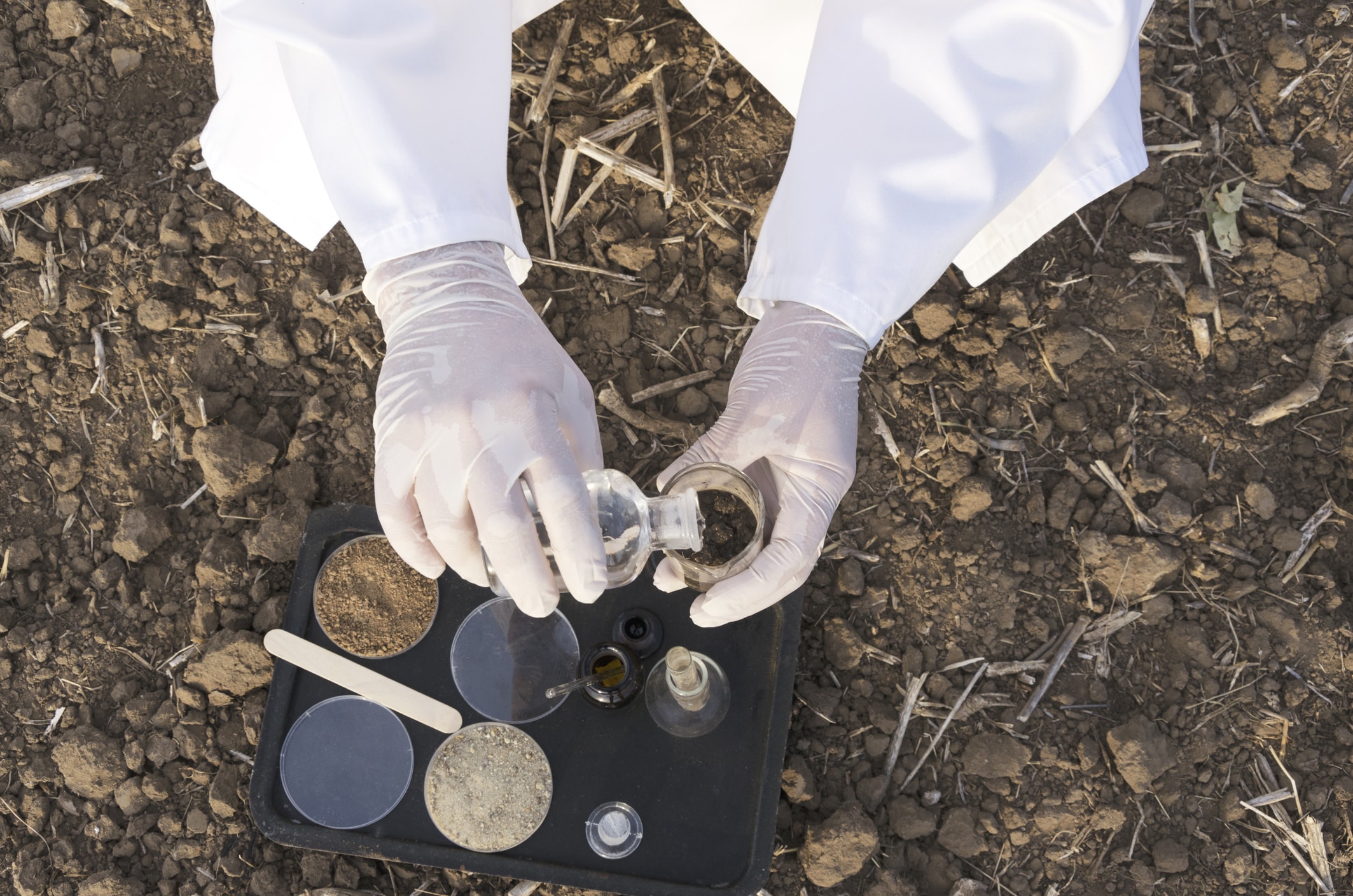 Soil Testing Significance