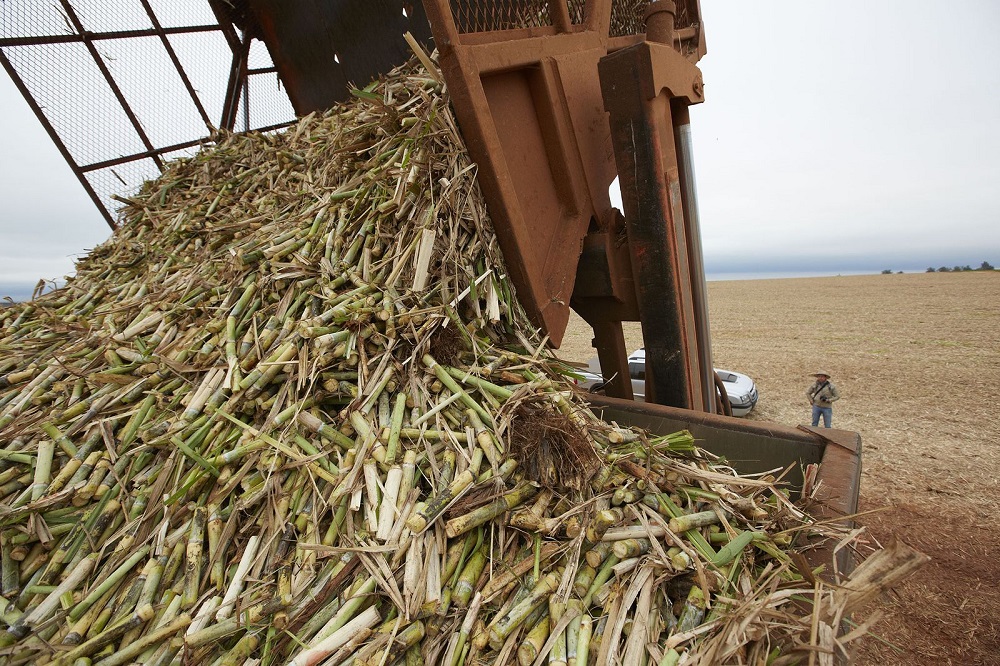 Agricultural Waste