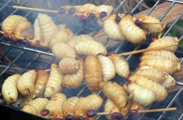 Coconut Friendly Worms